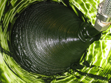 Algae-Based